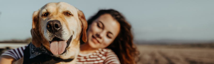 cuánto cuesta mantener un perro al año