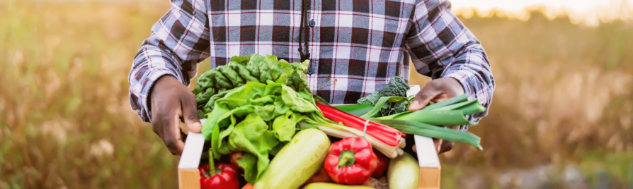 alimentacion ambientalmente sostenible