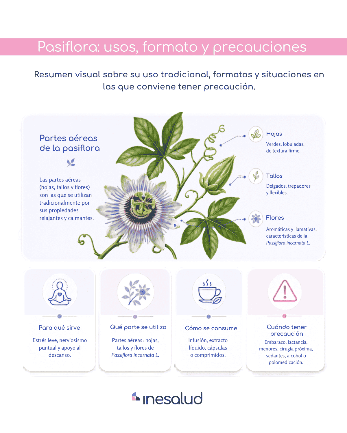 Infografía sobre usos, formatos y precauciones de la pasiflora