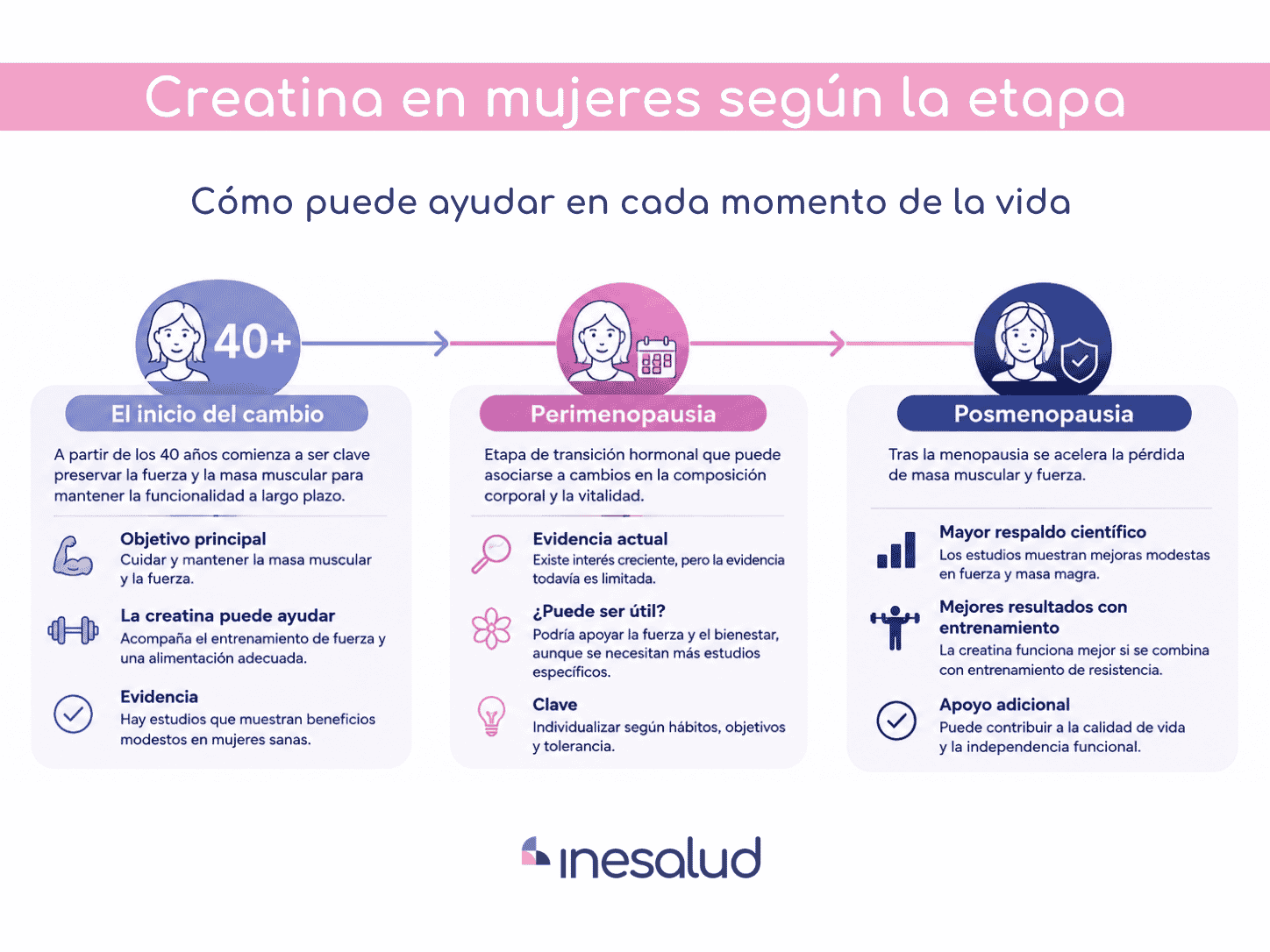 creatina en etapas de la mujer 