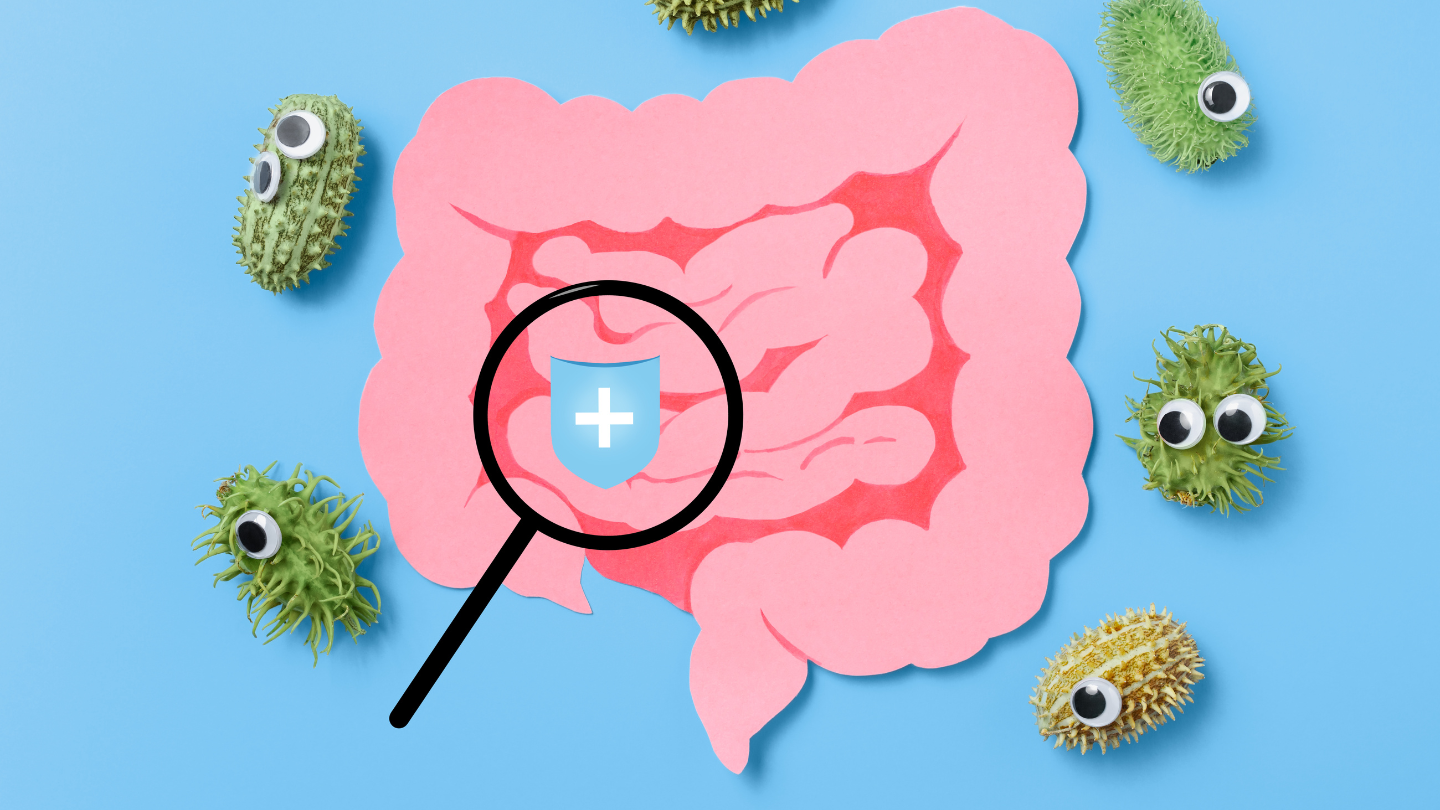 Eje intestino cerebro