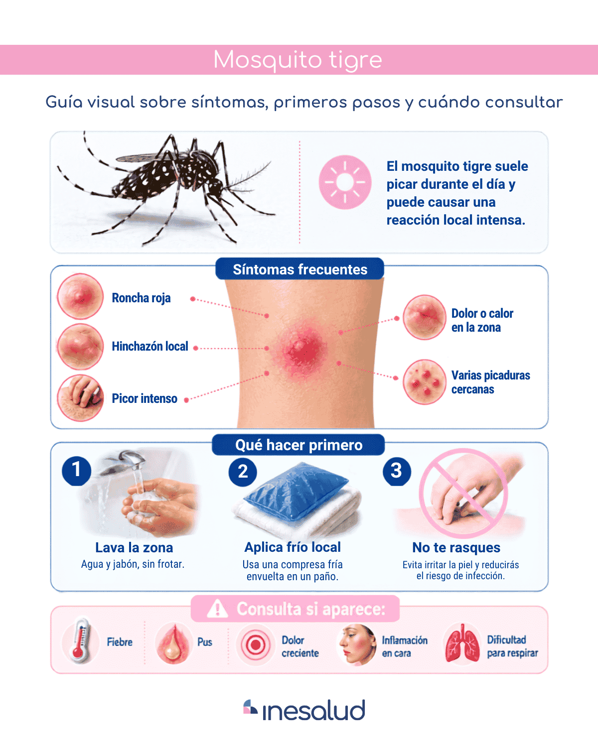 Guía visual picadura de mosquito tigre