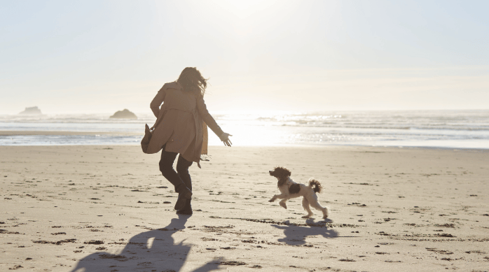 Perros en vacaciones