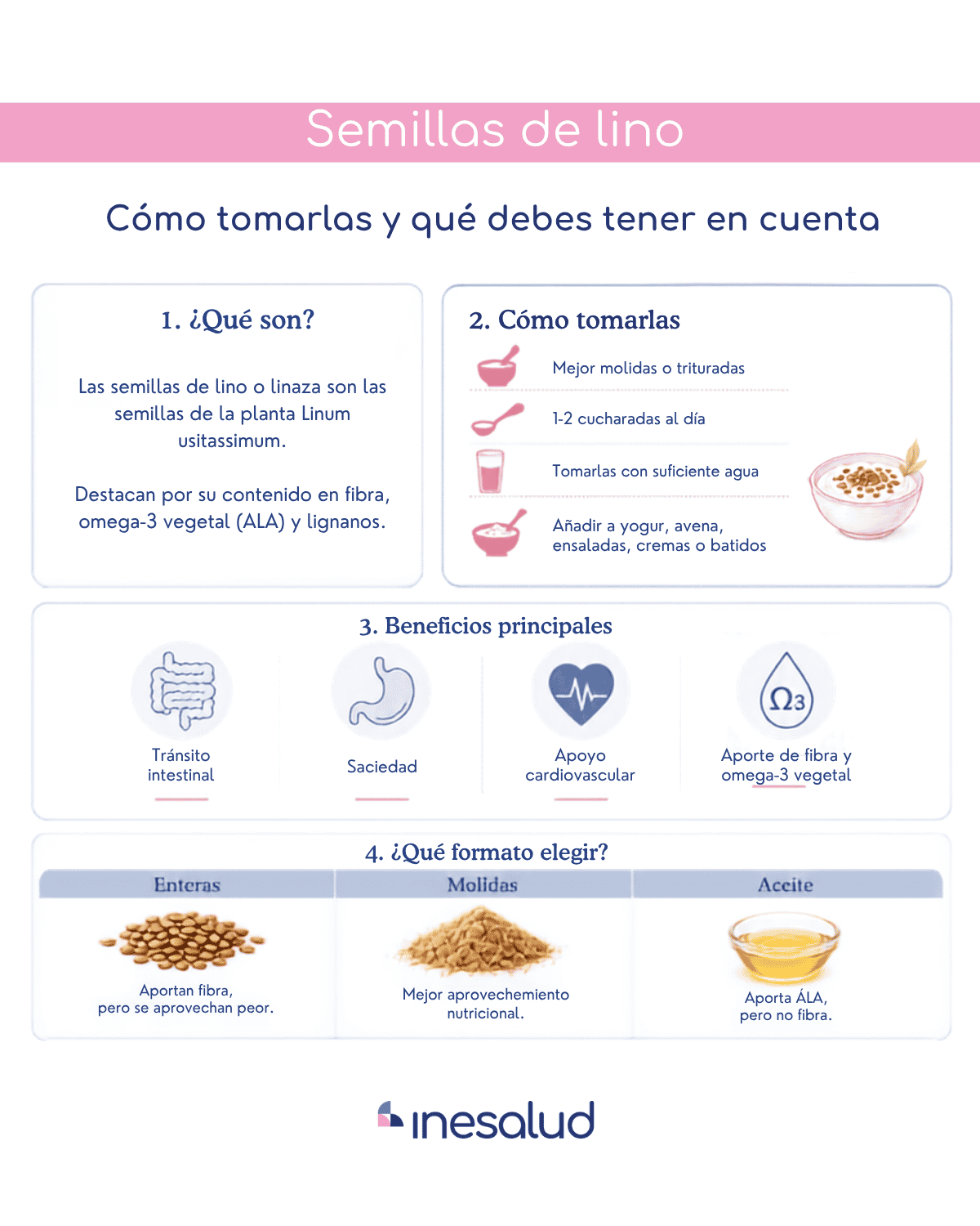 Infografía sobre cómo tomar semillas de lino, sus beneficios y contraindicaciones