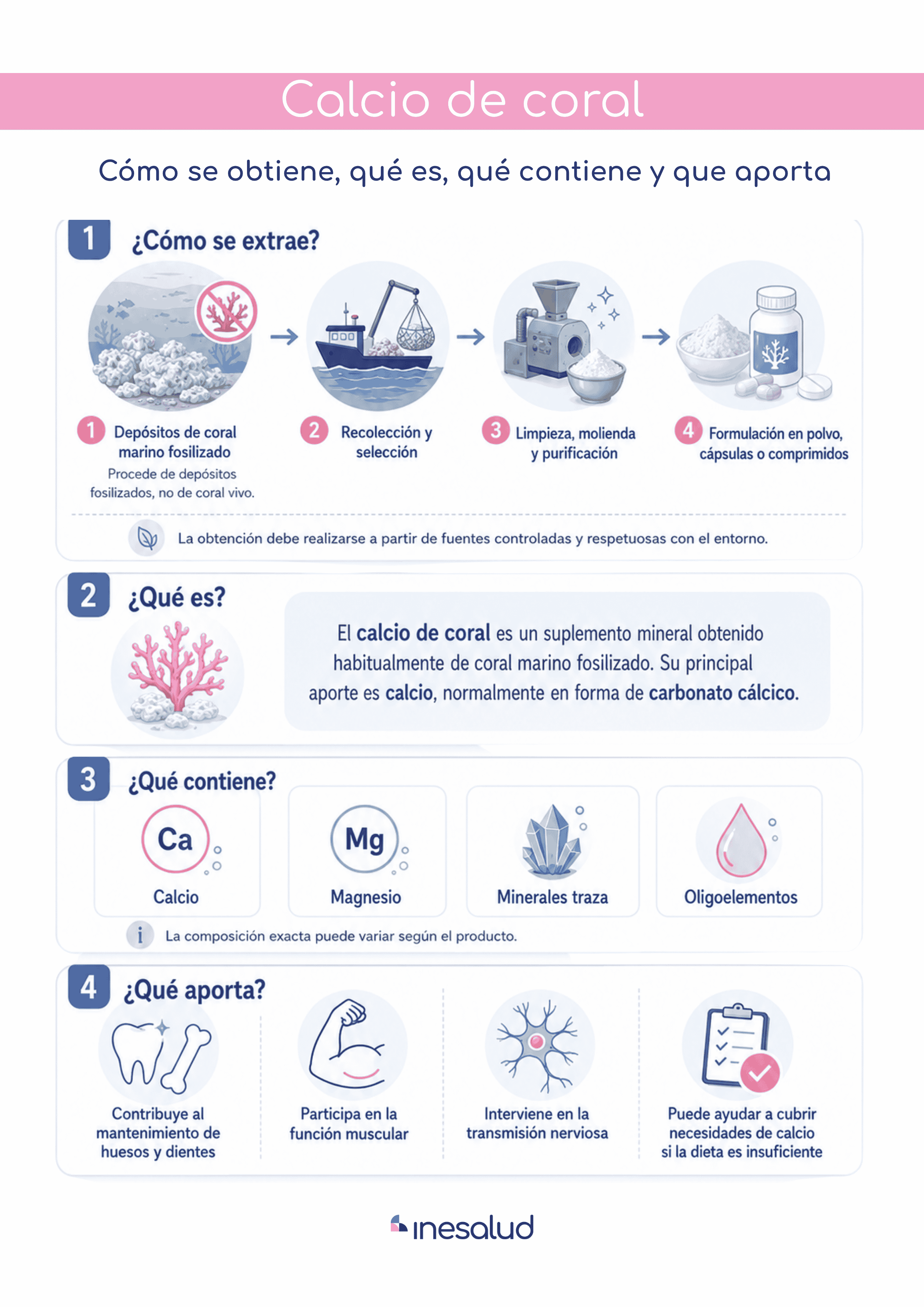 Infografía sobre el calcio de coral: cómo se extrae, qué es, qué contiene y qué aporta