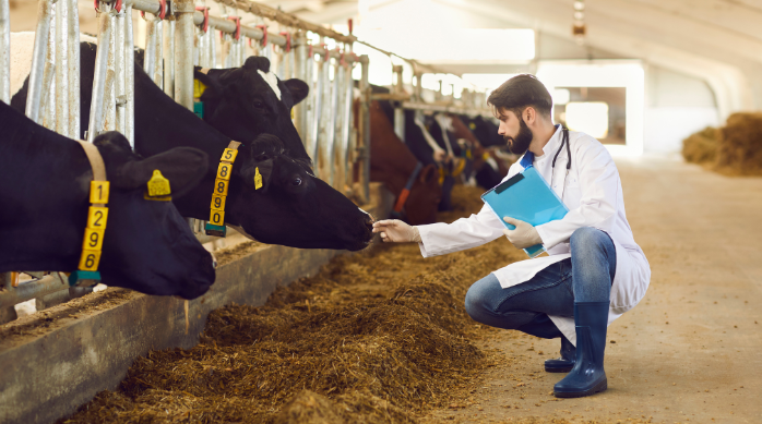 Salidas profesionales veterinaria