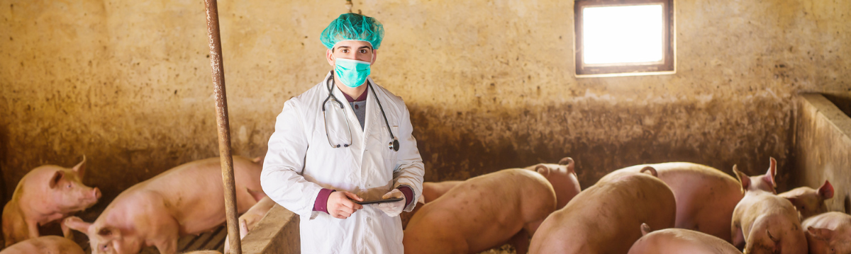 Seguridad alimentaria