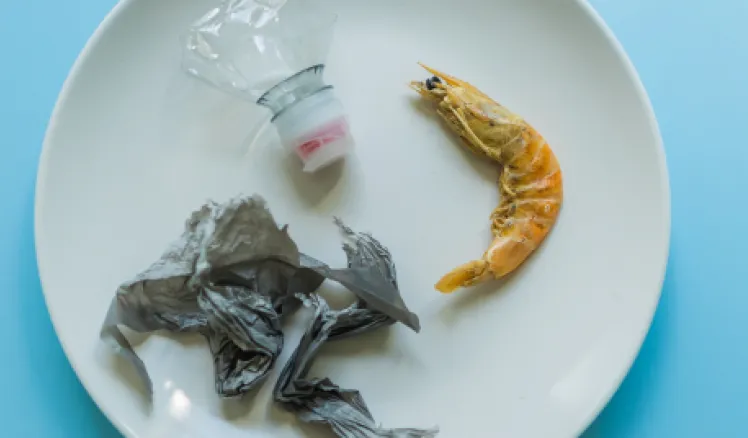 Microplásticos en la dieta