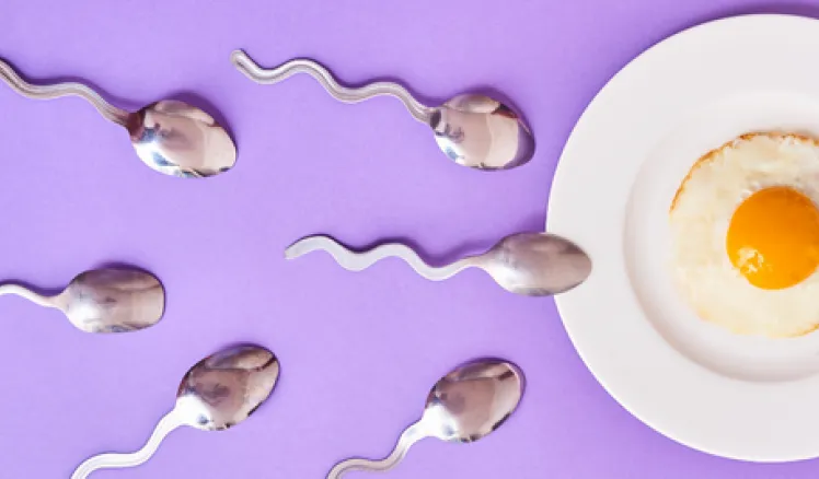 influencia en la fertilidad