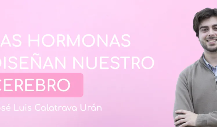 Hormonas cerebro