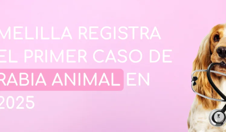Rabia animal