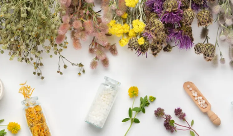 Plantas medicinales silvestres