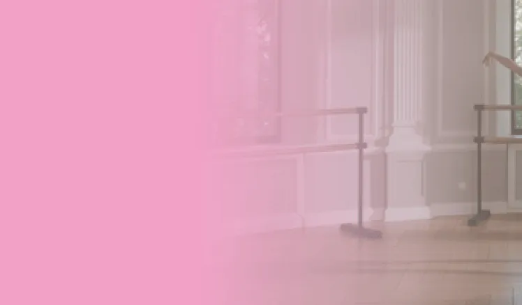 Clases de barre