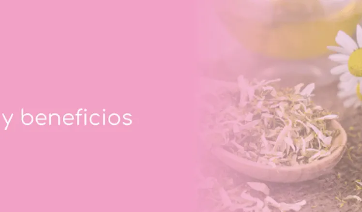 manzanilla beneficios