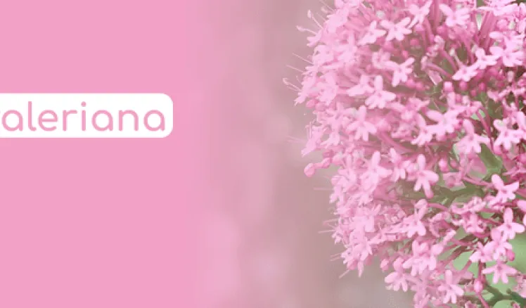 cómo cultivar valeriana en casa