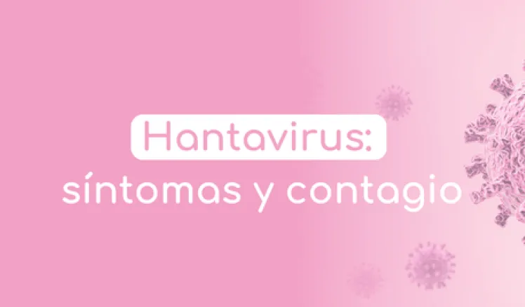 hantavirus
