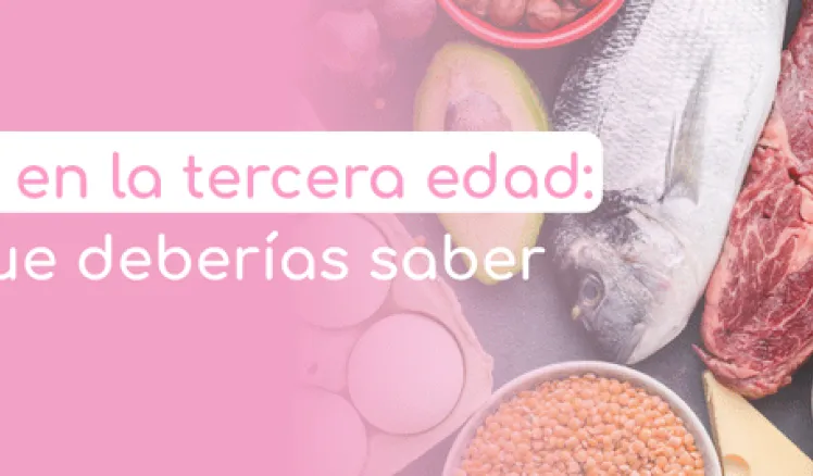 nutrición en la tercera edad guía completa