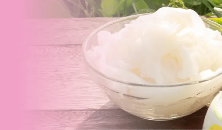 que es el glucomanano de konjac