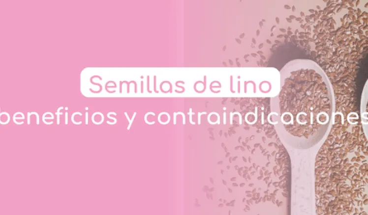 beneficios y contraindicaciones de las semillas de lino 