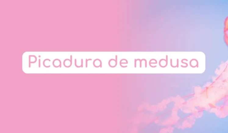 picadura de medusa