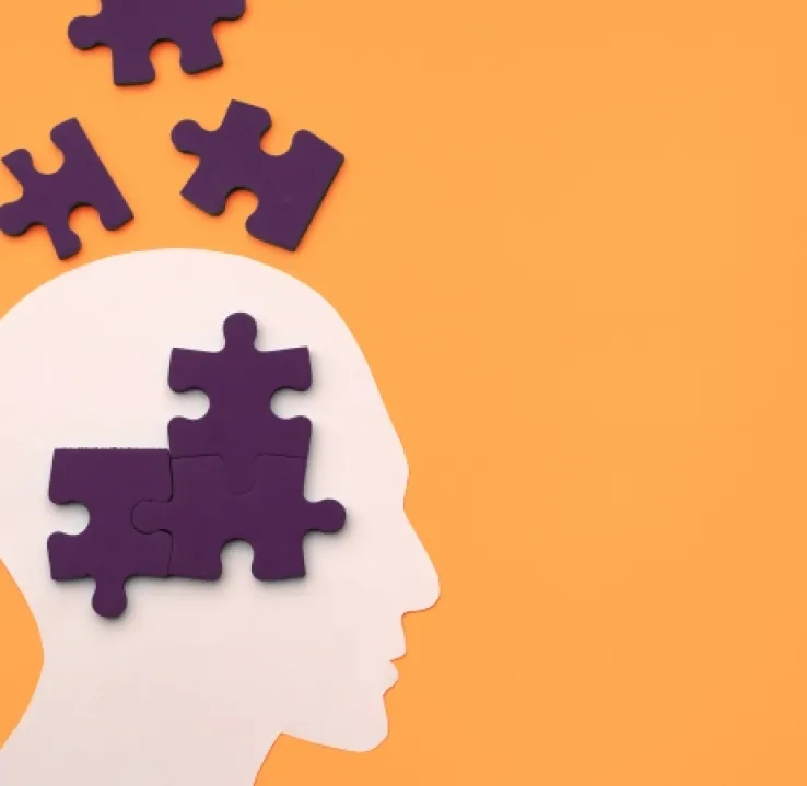 Curso de Desarrollo Profesional en Atención a Personas con Alzheimer para Cuidadores