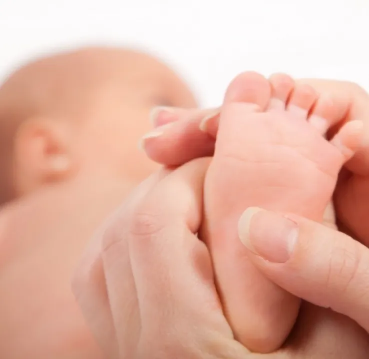 Curso en Evaluación Neurológica del Recién Nacido