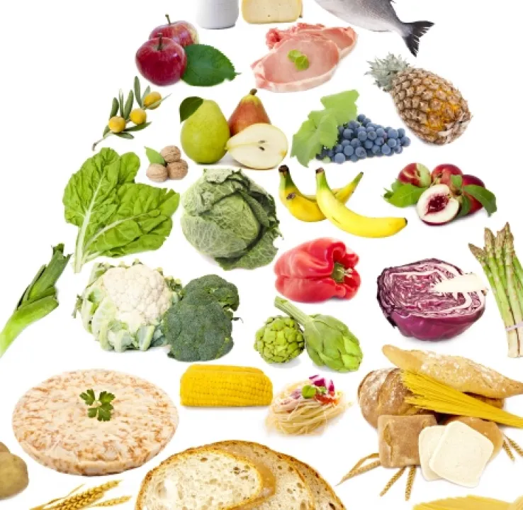 Curso Superior de Necesidades Nutricionales y Estudio de los Alimentos