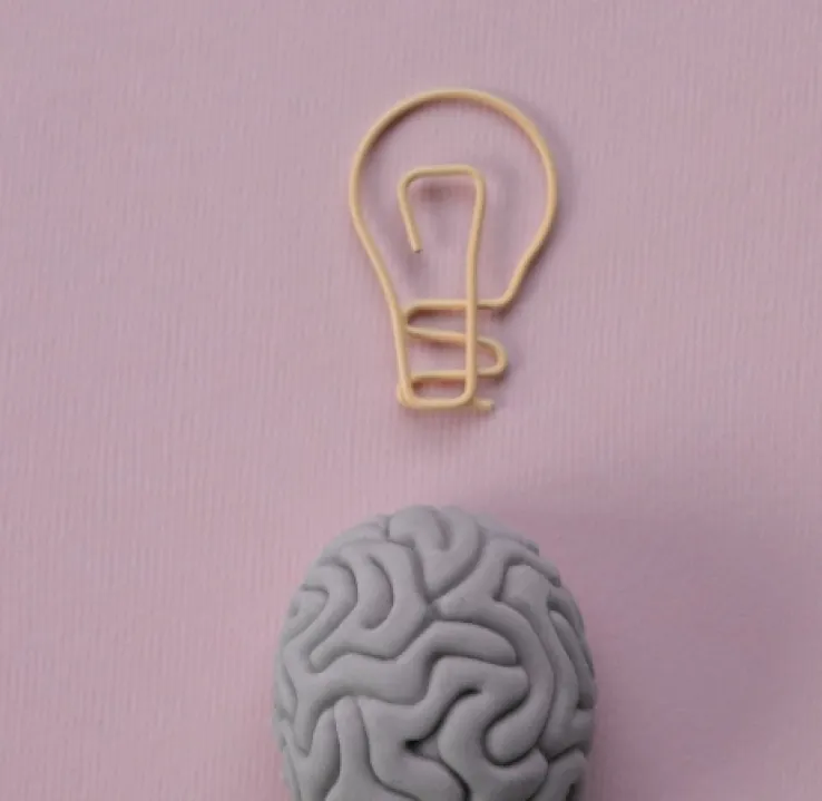 Curso de Desarrollo Profesional en Neurociencia Cognitiva Aplicada