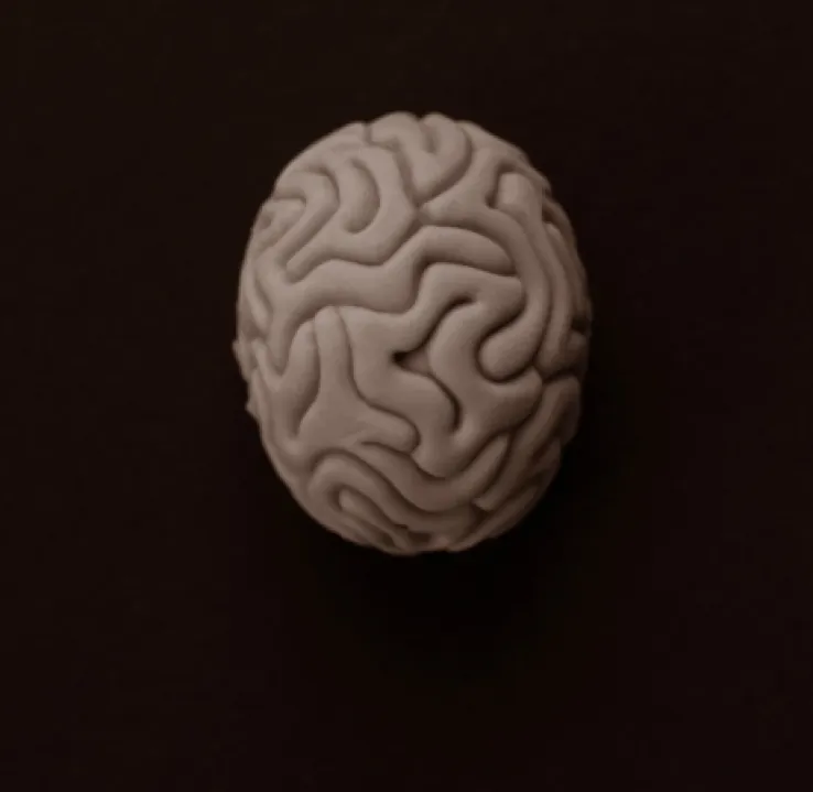 Curso de Desarrollo Profesional en Neuropsicología Clínica Aplicada