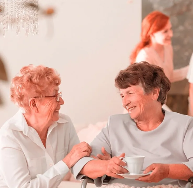 Curso de Desarrollo Profesional en Nutrición Geriátrica