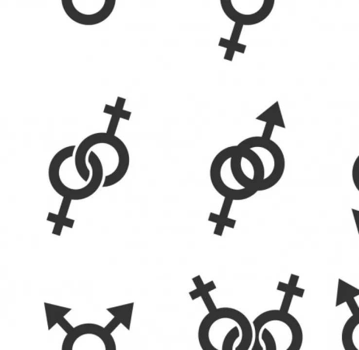 Curso en Orientación Sexual e Identidad de Género