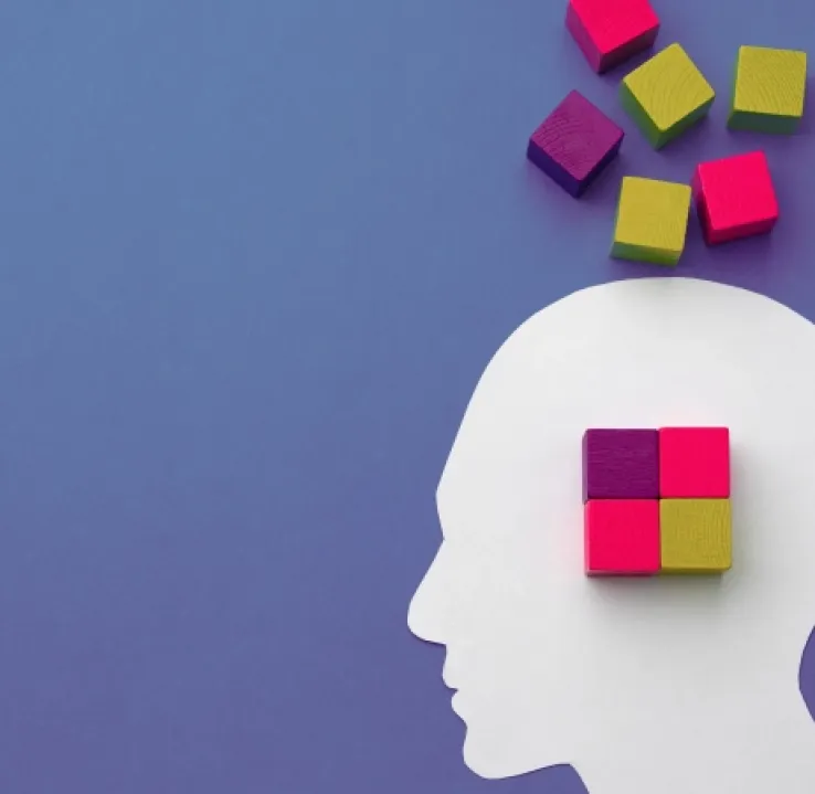 Psicoterapia Cognitivo Conductual