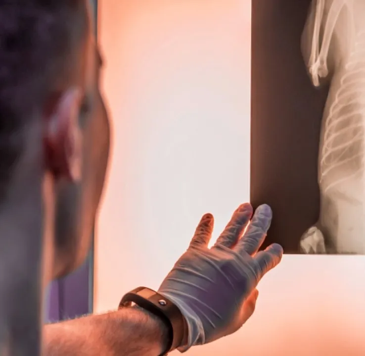Curso de Desarrollo Profesional en Radiología Veterinaria