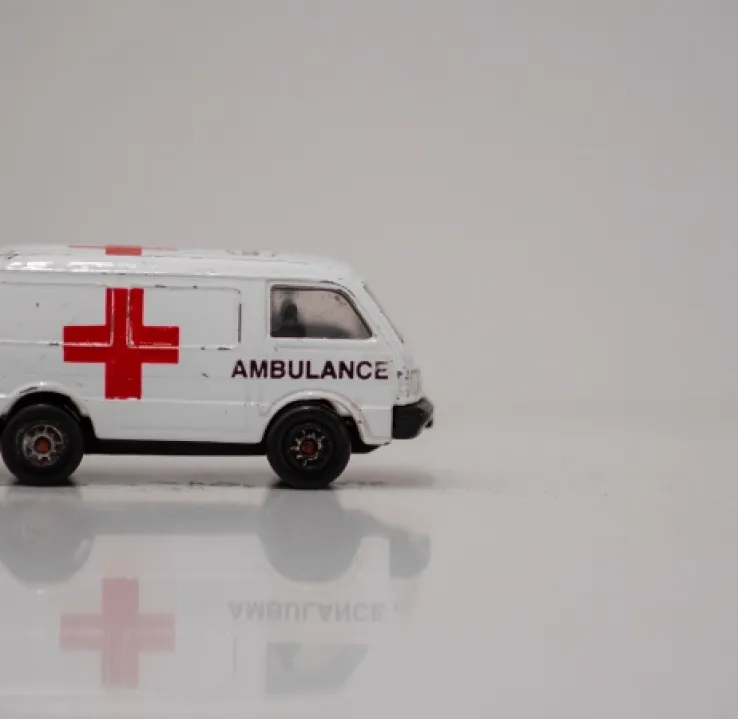 Curso de Desarrollo Profesional en Cuidados Intensivos Sanitarios