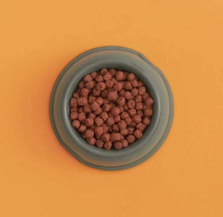 Curso de Formación Permanente en Dietética y Nutrición Veterinaria