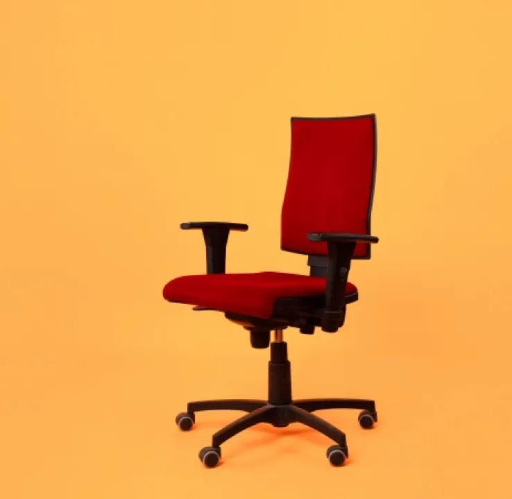 Curso en Ergonomía Aplicada al Entorno Laboral