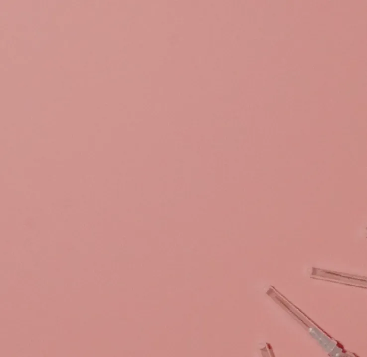 Curso de Desarrollo Profesional en Gestión de Residuos Sanitarios