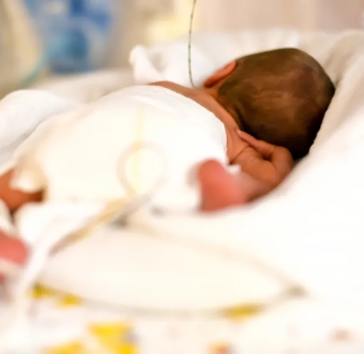 Máster de Formación Permanente en Cuidados Neonatales y Atención al Recién Nacido