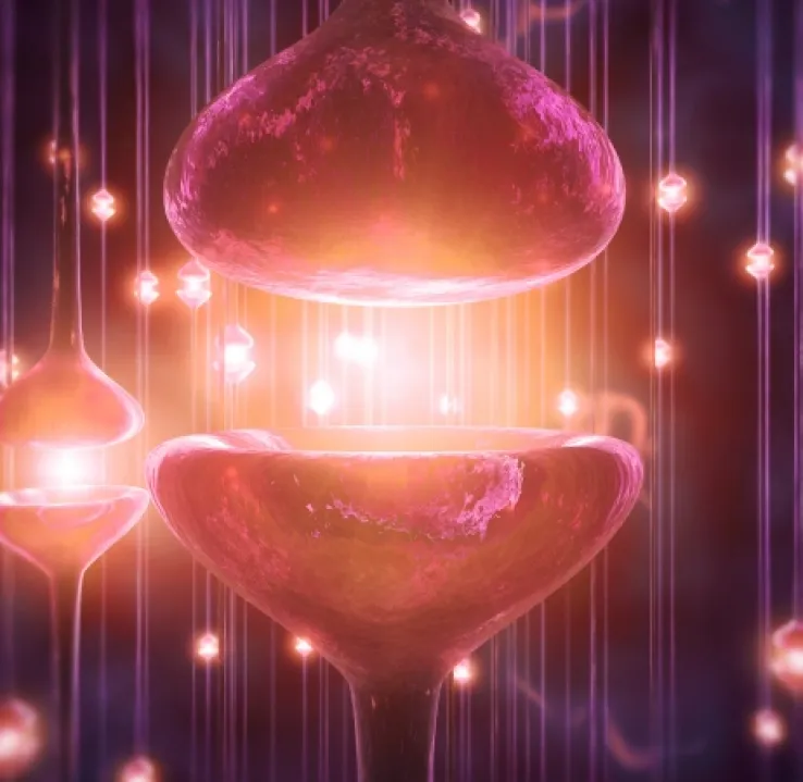Máster en Neurociencia e Inteligencias Múltiples