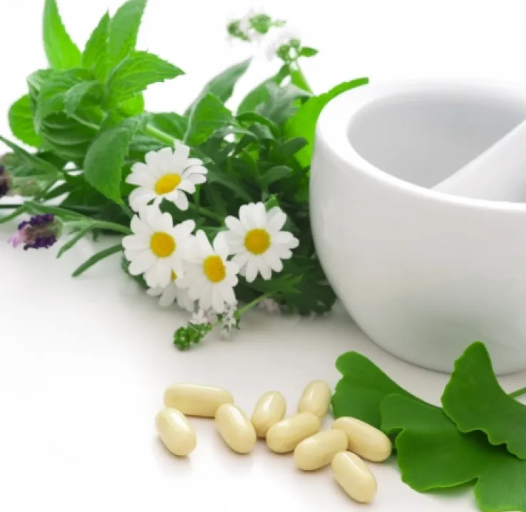 Curso Superior en Homeopatía, Fitoterapia y Nutrición
