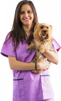 Gestión de clínicas veterinarias
